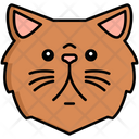 پیش‌نمایش فایل persian-cat-8099463 از پک حیوان خانگی