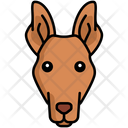 پیش‌نمایش فایل pharaoh-hound-dog-8099464 از پک حیوان خانگی