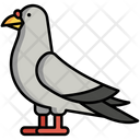 پیش‌نمایش فایل pigeon-8099465 از پک حیوان خانگی