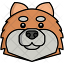 پیش‌نمایش فایل pomeranian-dog-8099468 از پک حیوان خانگی