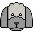 پیش‌نمایش فایل poodle-dog-8099469 از پک حیوان خانگی