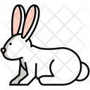 پیش‌نمایش فایل rabbit-8099472 از پک حیوان خانگی