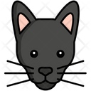 پیش‌نمایش فایل russian-blue-cat-8099475 از پک حیوان خانگی