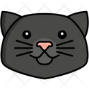 پیش‌نمایش فایل scottish-fold-cat-8099480 از پک حیوان خانگی