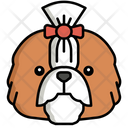 پیش‌نمایش فایل shih-tzu-dog-8099483 از پک حیوان خانگی
