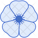 پیش‌نمایش فایل anemone-8100680 از پک گل
