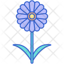 پیش‌نمایش فایل aster-8100627 از پک گل