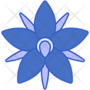 پیش‌نمایش فایل borage-starflower-8100630 از پک گل