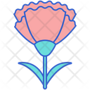 پیش‌نمایش فایل carnation-8100633 از پک گل