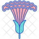 پیش‌نمایش فایل cockscomb-8100635 از پک گل
