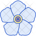 پیش‌نمایش فایل confederate-rose-8100636 از پک گل