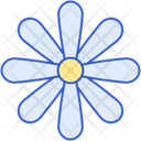 پیش‌نمایش فایل daisy-8100640 از پک گل