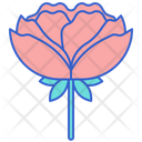 پیش‌نمایش فایل peony-8100662 از پک گل