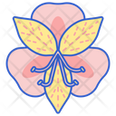 پیش‌نمایش فایل peruvian-lily-8100664 از پک گل
