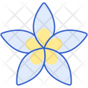 پیش‌نمایش فایل plumeria-8100665 از پک گل