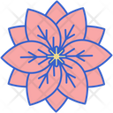 پیش‌نمایش فایل poinsettia-8100666 از پک گل