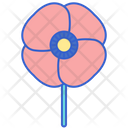 پیش‌نمایش فایل poppy-8100667 از پک گل
