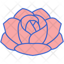 پیش‌نمایش فایل rose-8100669 از پک گل