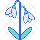پیش‌نمایش فایل snowdrop-8100671 از پک گل