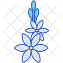 پیش‌نمایش فایل tuberose-8100675 از پک گل