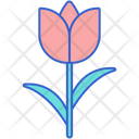 پیش‌نمایش فایل tulip-8100676 از پک گل