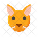 پیش‌نمایش فایل abyssinian-cat-8101611 از پک حیوان خانگی