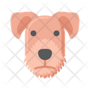 پیش‌نمایش فایل airedale-terrier-dog-8101613 از پک حیوان خانگی