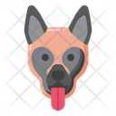 پیش‌نمایش فایل belgian-malinois-dog-8101618 از پک حیوان خانگی