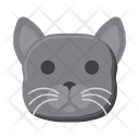 پیش‌نمایش فایل british-shorthair-cat-8101622 از پک حیوان خانگی