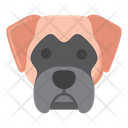 پیش‌نمایش فایل bullmastiff-dog-8101625 از پک حیوان خانگی