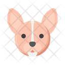 پیش‌نمایش فایل chihuahua-dog-8101628 از پک حیوان خانگی