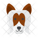 پیش‌نمایش فایل chinese-crested-dog-8101629 از پک حیوان خانگی