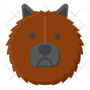 پیش‌نمایش فایل chow-chow-dog-8101630 از پک حیوان خانگی