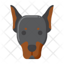 پیش‌نمایش فایل doberman-dog-8101637 از پک حیوان خانگی