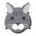 پیش‌نمایش فایل domestic-longhair-cat-8101639 از پک حیوان خانگی