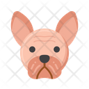 پیش‌نمایش فایل french-bulldog-dog-8101644 از پک حیوان خانگی