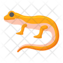 پیش‌نمایش فایل gecko-8101646 از پک حیوان خانگی
