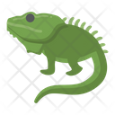 پیش‌نمایش فایل iguana-8101654 از پک حیوان خانگی