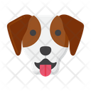 پیش‌نمایش فایل jack-russell-terrier-dog-8101655 از پک حیوان خانگی