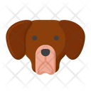 پیش‌نمایش فایل labrador-retriever-dog-8101657 از پک حیوان خانگی
