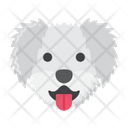 پیش‌نمایش فایل maltese-dog-8101660 از پک حیوان خانگی