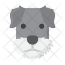 پیش‌نمایش فایل miniature-schnauzer-dog-8101662 از پک حیوان خانگی