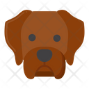 پیش‌نمایش فایل newfoundland-dog-8101665 از پک حیوان خانگی