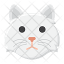 پیش‌نمایش فایل persian-cat-8101669 از پک حیوان خانگی