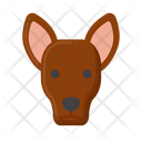 پیش‌نمایش فایل pharaoh-hound-dog-8101670 از پک حیوان خانگی