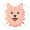 پیش‌نمایش فایل pomeranian-dog-8101674 از پک حیوان خانگی