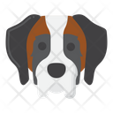 پیش‌نمایش فایل saint-bernard-dog-8101682 از پک حیوان خانگی