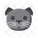 پیش‌نمایش فایل scottish-fold-cat-8101686 از پک حیوان خانگی
