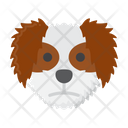 پیش‌نمایش فایل shih-tzu-dog-8101689 از پک حیوان خانگی