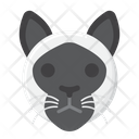 پیش‌نمایش فایل siamese-cat-8101690 از پک حیوان خانگی